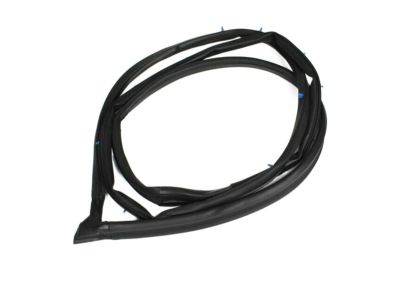 Toyota Avalon Door Seal - 67871-AC020