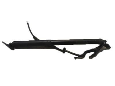 Toyota RAV4 Liftgate Lift Support - 68910-49055