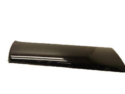 Toyota Door Moldings - 75731-35130-A0