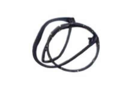 Toyota 62311-04051 Surround Weatherstrip