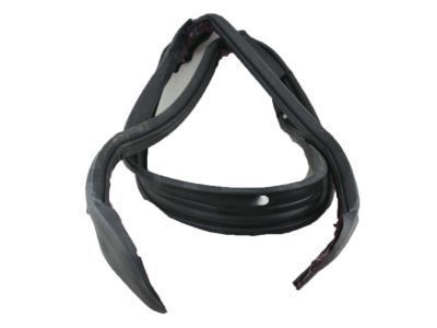 Toyota Supra Weather Strip - 63251-14050