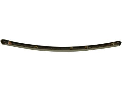 Toyota 75770-AA010 Molding