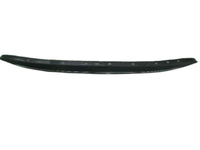 Scion 52453-74010 Guard