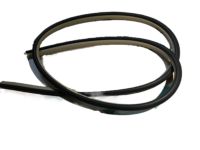 Toyota 62331-AC071-A0 Weatherstrip, Rear Door Opening Trim, RH