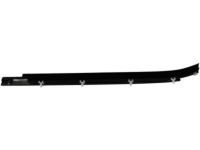 Toyota 75730-0C022 Belt Weatherstrip, Passenger Side