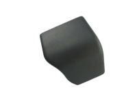 Toyota 79956-0R010-C0 Track End Cover, Driver Side