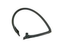 Toyota 62382-17040 Weatherstrip, Roof Side Rail, LH