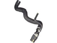 Toyota 16057-36010 Hose Sub-Assembly, RADIA