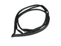 Toyota 67881-60060 Weatherstrip