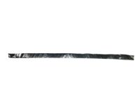 Toyota 75985-0T010 Stripe, Front Door, Out