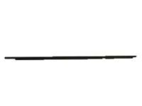 Toyota 75730-47010 Belt Weatherstrip, Passenger Side