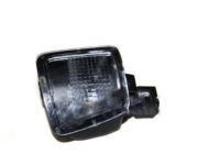 Toyota 81880-08010 Puddle Lamp, Passenger Side