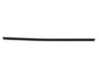 Toyota 68170-90A01 Weatherstrip Assy, Front Door Glass, Inner