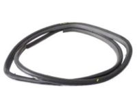 Toyota 62311-47030-B1 Weatherstrip On Body, Gray, Passenger Side