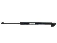 Toyota 68960-08012 Lift Cylinder, Driver Side Toyota 68960-08012 Lift Cylinder, Driver Side