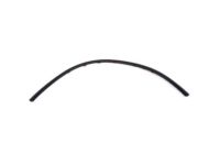 Toyota 75571-52030 Side Molding, Rear