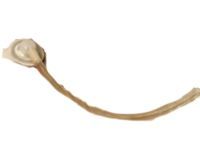 Toyota 16471-56030 Cap Sub-Assembly, Reserve Tank Toyota 16471-56030 Cap Sub-Assembly, Reserve Tank