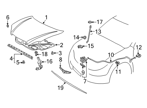 2005 Toyota Corolla Hood & Components, Exterior Trim, Trim Diagram