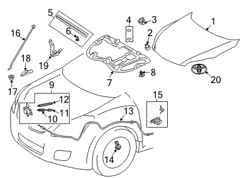 2013 Toyota Matrix Hood & Components, Exterior Trim, Body Diagram