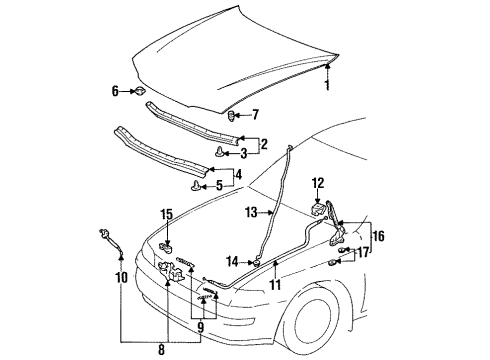 1995 Toyota Corolla Seal, Hood To Radiator Support Diagram for 53381-12160