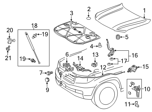 2021 Toyota Land Cruiser Hood & Components Diagram