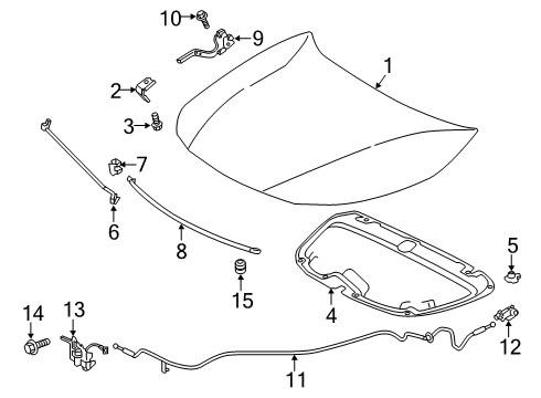 2022 Toyota Corolla Hood & Components Diagram