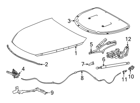 2022 Toyota Mirai Hood & Components, Body Diagram