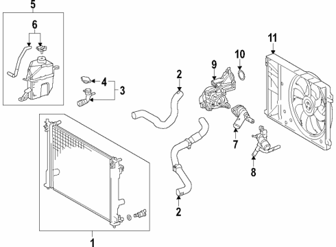 2020 Toyota Camry Cooling System, Radiator, Water Pump, Cooling Fan Diagram