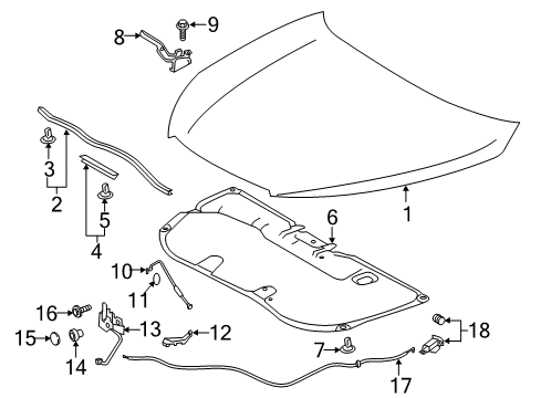 2019 Toyota Highlander Hood & Components Diagram