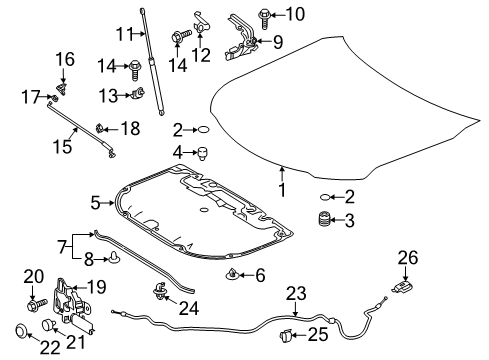 2020 Toyota Camry Hood & Components Diagram