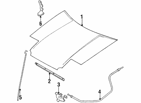 1988 Toyota Corolla Hood & Components, Body Diagram 3 - Thumbnail