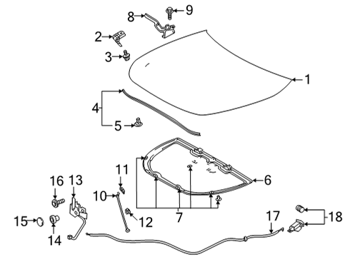 2020 Toyota Highlander Hood & Components Diagram