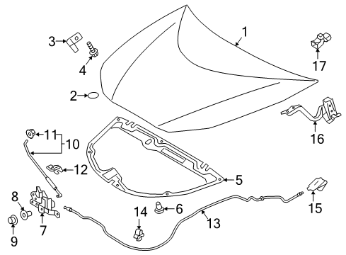 2018 Toyota Prius Hood & Components, Body Diagram