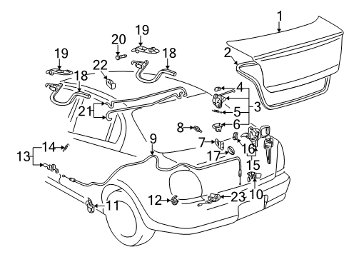 2002 Toyota Echo Trunk, Body Diagram