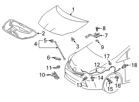 2016 Toyota Prius V Hood & Components, Body Diagram