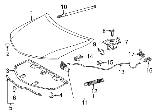 2014 Toyota Camry Hood & Components Diagram