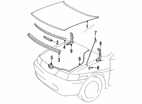 1992 Toyota Tercel Hood & Components, Body Diagram