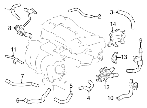 2023 Toyota Crown Hoses, Lines & Pipes Diagram