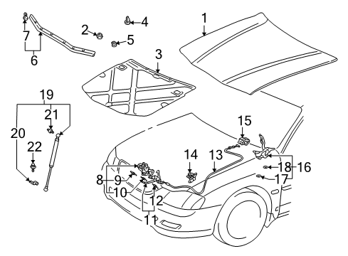 2002 Toyota Avalon Hood & Components Diagram