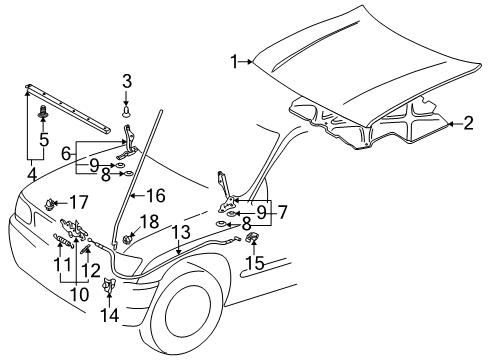 1999 Toyota Tacoma Hood & Components, Body Diagram