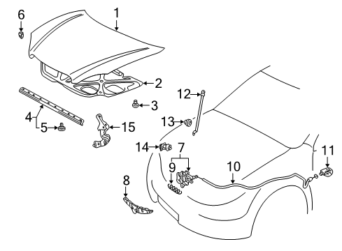 2008 Toyota Matrix Hood & Components Diagram