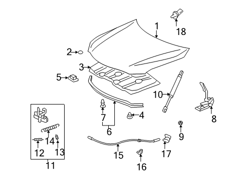 2008 Toyota Camry Hood & Components, Body Diagram 2 - Thumbnail