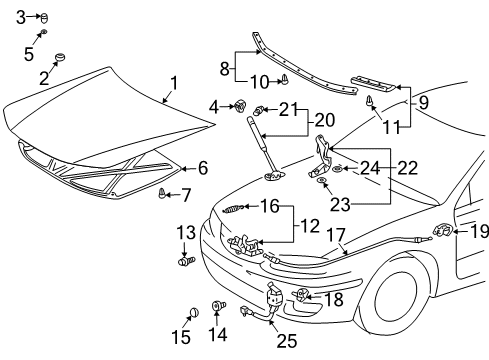 2003 Toyota Solara Insulator, Hood Diagram for 53341-06050