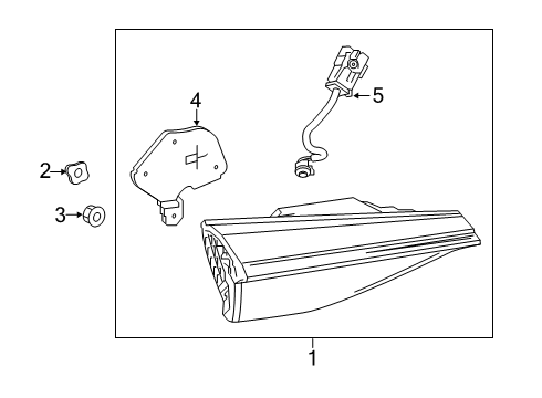 2021 Toyota Avalon Tail Lamps Diagram