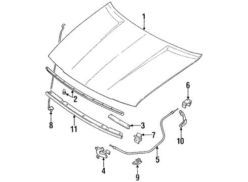 1992 Toyota Corolla Hood & Components Diagram