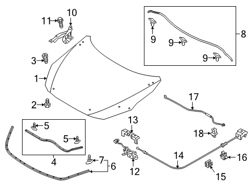 2020 Toyota Yaris Hood & Components, Body Diagram