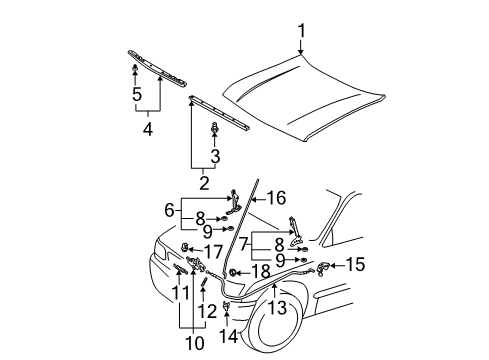 2004 Toyota Tacoma Hood & Components Diagram