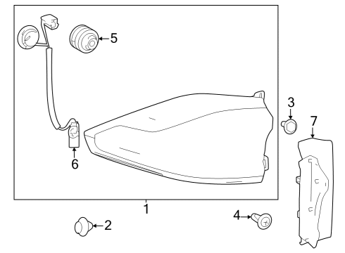 2024 Toyota Grand Highlander Tail Lamps Diagram