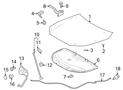 2024 Toyota Grand Highlander Hood & Components Diagram