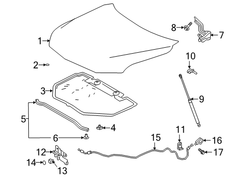 2019 Toyota Avalon Hood & Components Diagram